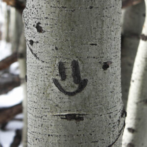 Smiley Aspen