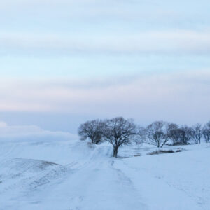 Cold Palouse