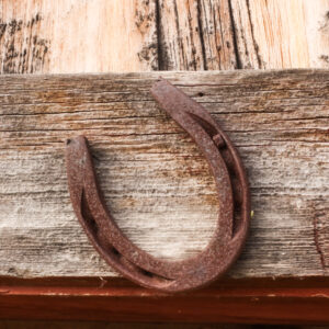 Ta Ranch Shoe